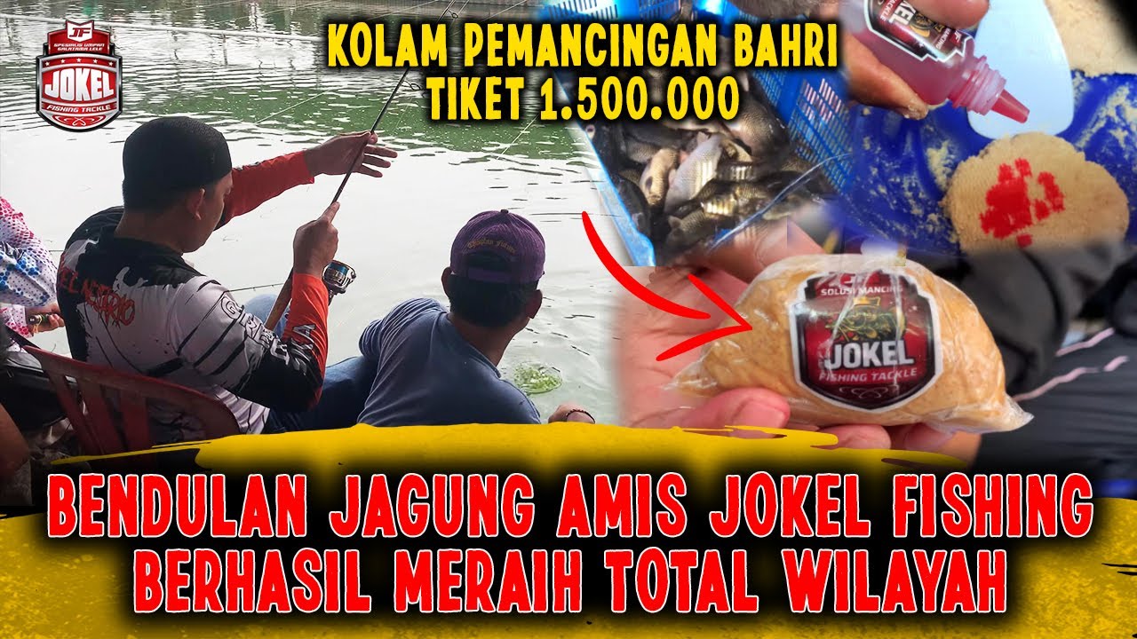 ASAL MAOO...II BENDULAN JAGUNG AMIS JF BERULAH LAGI DIKOLAM PEMANCINGAN BAHRI DUREN SAWIT