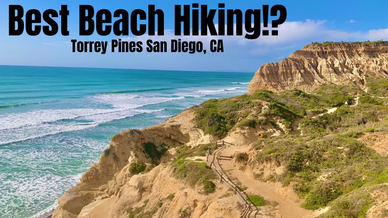 Best Beach Hiking in California!? (Torrey Pines State Natural Reserve San Diego, CA)