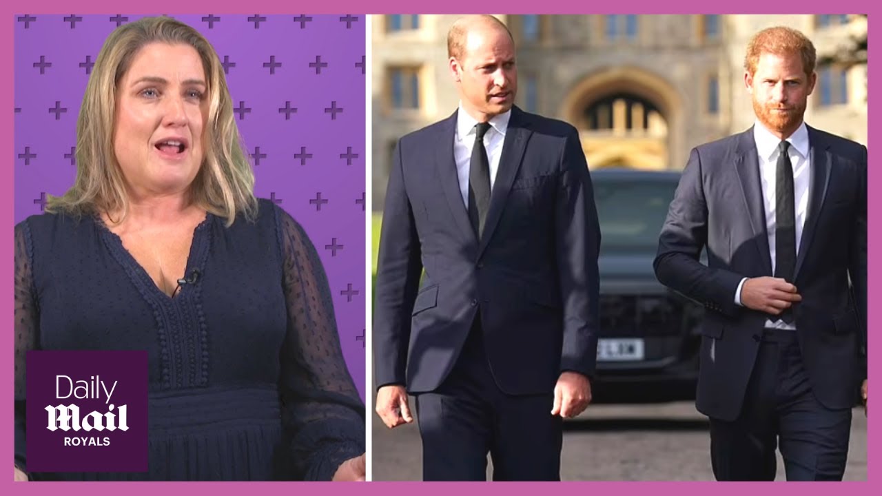 'Startling!' Royal expert reacts to Prince Harry 'Spare' bombshell book leaks about Prince William