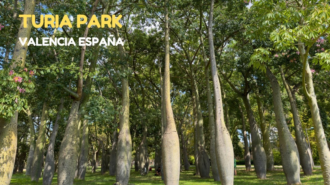 Turia Park Valencia Spain