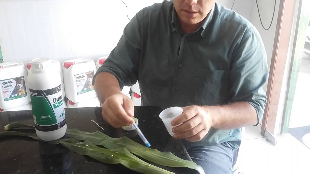 Marlos Pedroso -  Quimifol
