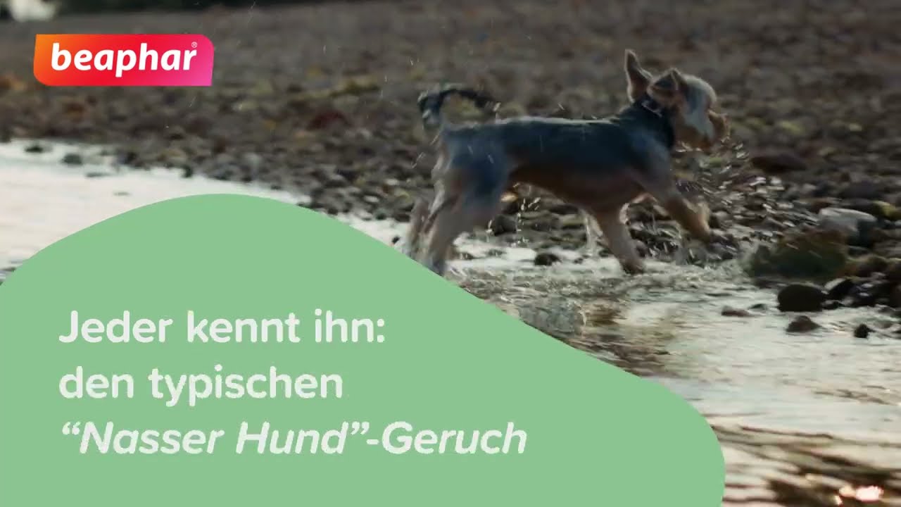 Nasser Hund Spray