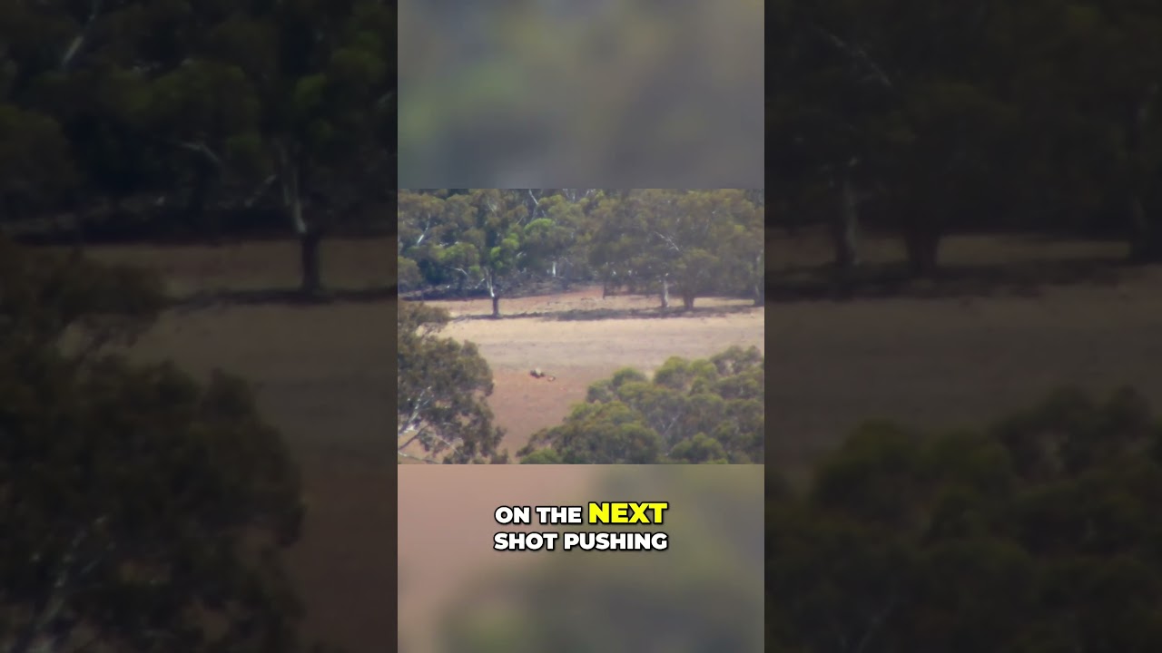 Mastering Long Range Shooting  Reading Wind Speed and Direction Techniques