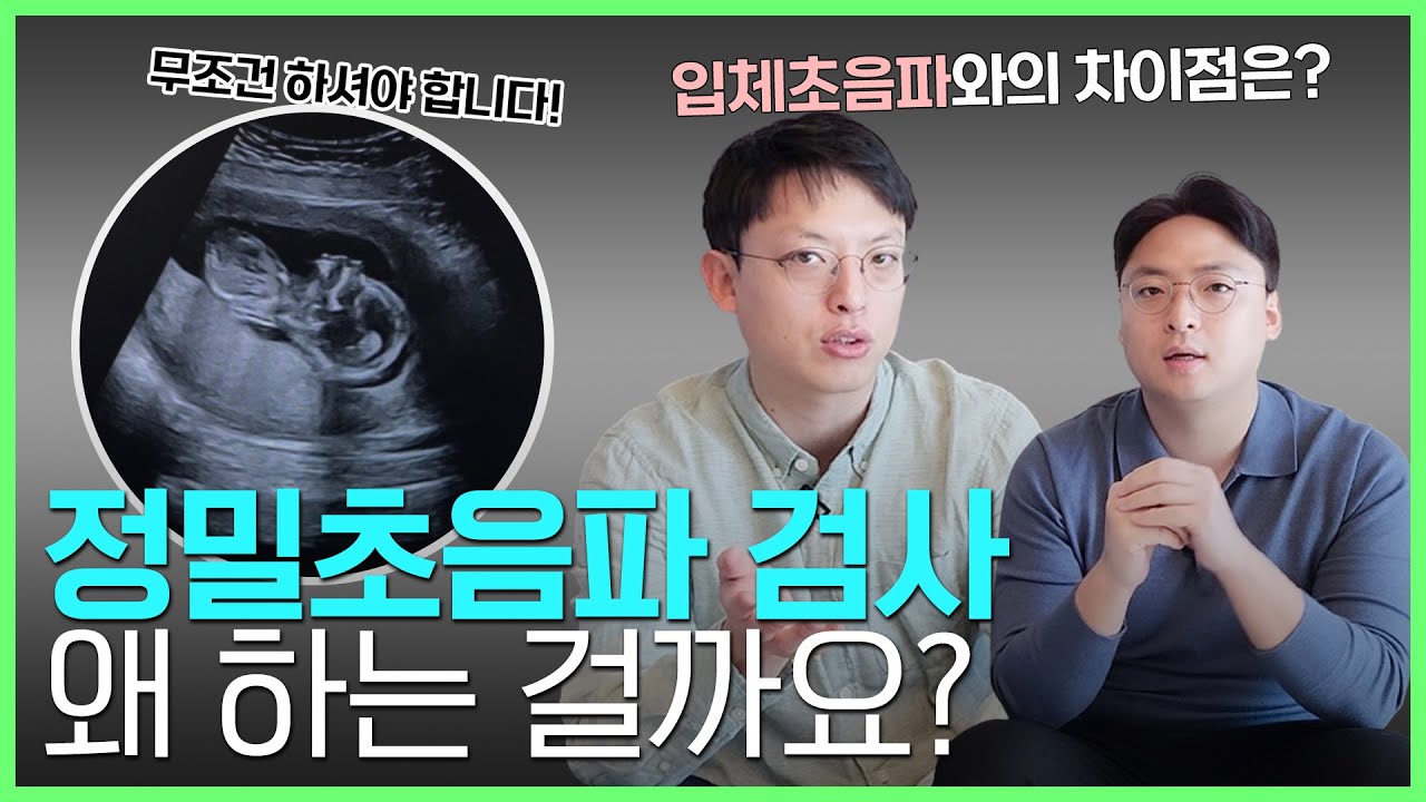 보호자 분들! 함께 가기 힘들다면 '정밀 초음파' 볼 때 말고 이때 가세요! (feat.임신 중 초음파 검사 총 정리!)