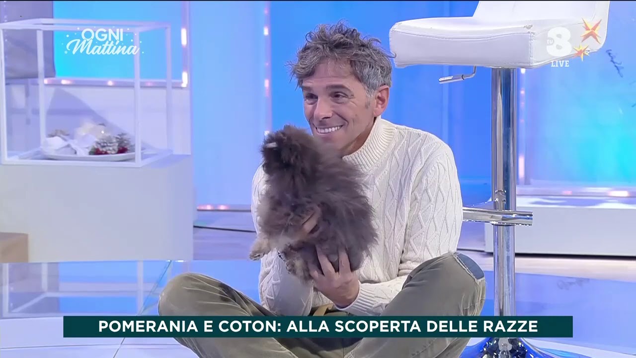 La carica dei cuccioli