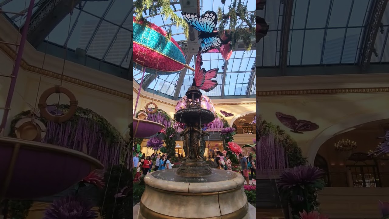 Bellagio Conservatory             Summer 2024 pt. 2