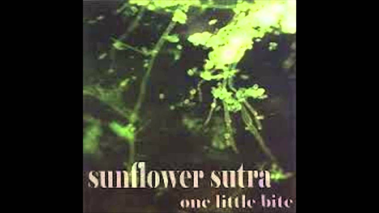 Sunflower Sutra: Sacred Communion