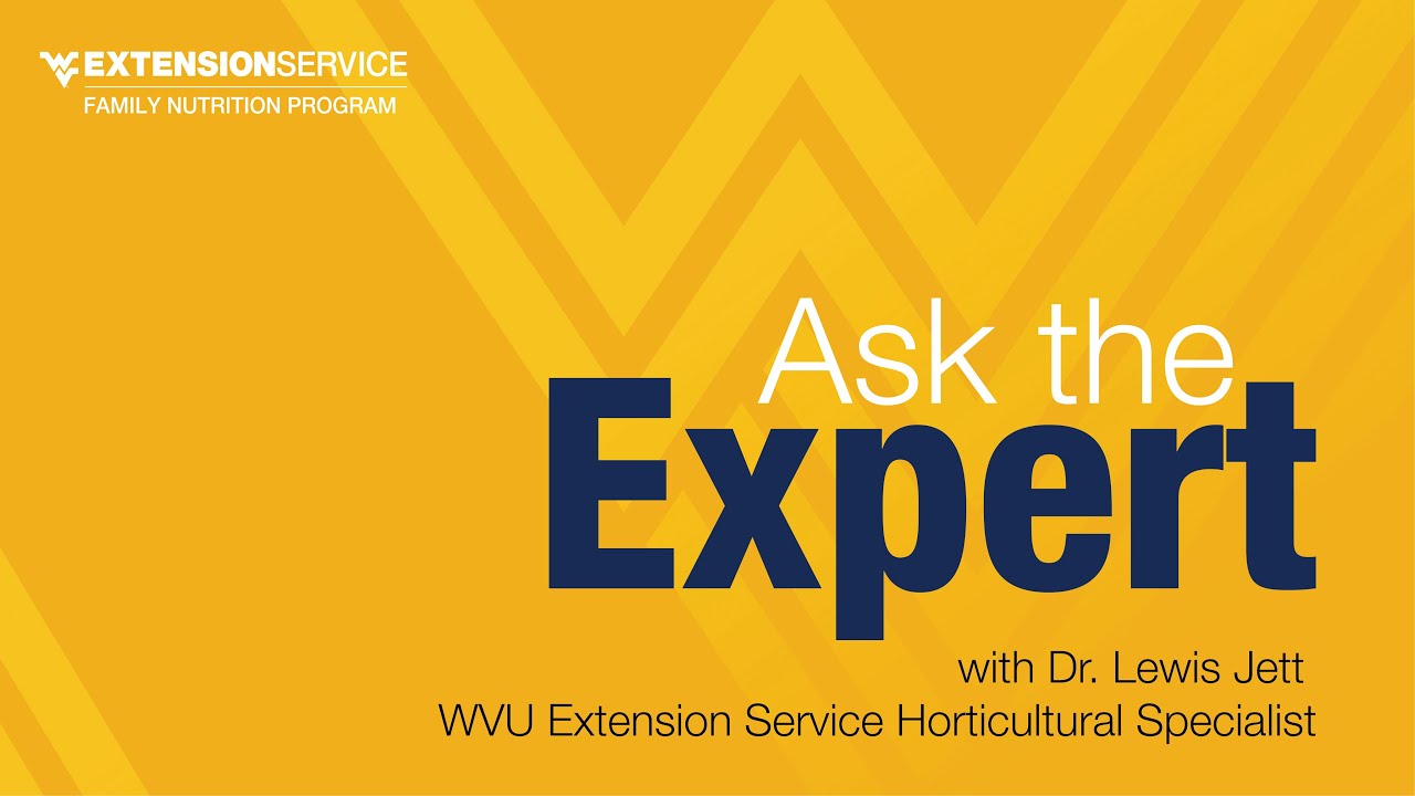 Ask the Expert, episode 1 (with Dr. Lewis Jett)