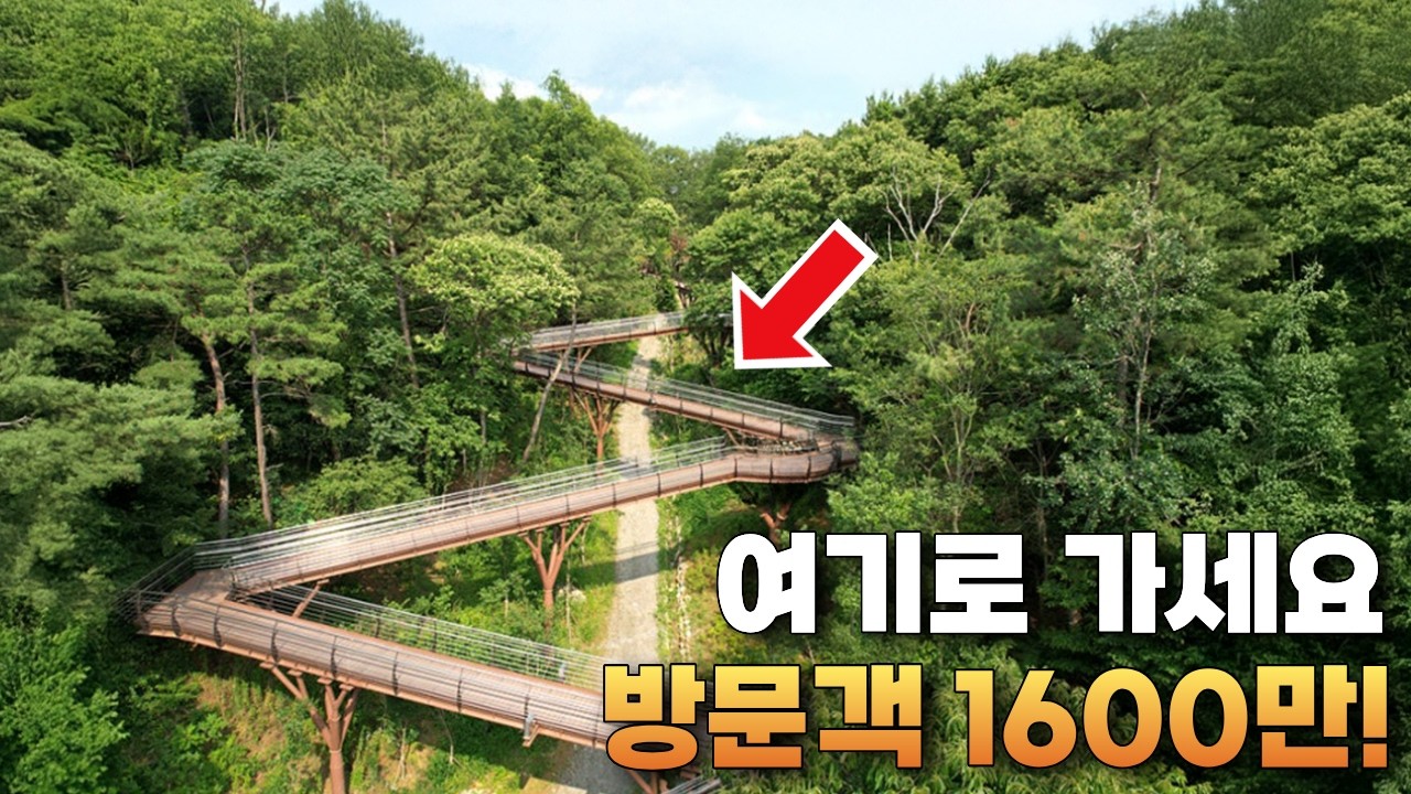 한국에 이런 곳이 있었다고? 강물이 '8'자로 굽이치는 절벽 위 330m 잔도길 | 당일치기 걷는 여행