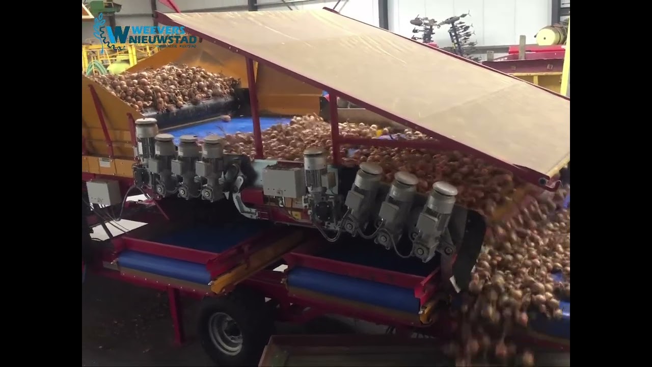 Bijlsma Hercules stortbak