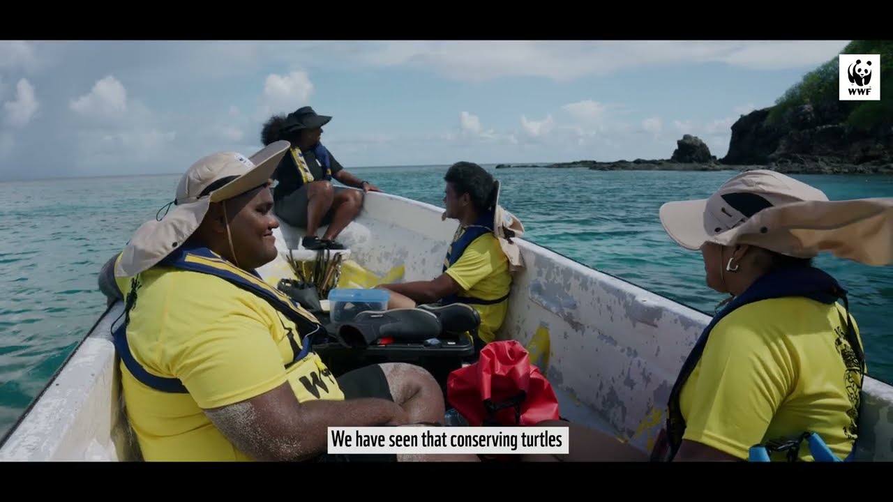 Safeguarding Turtle Nesting Populations in Fiji | WWF-Fiji