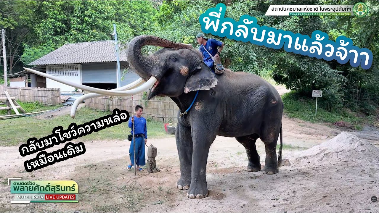 ตามติดชีวิต #พลายศักดิ์สุรินทร์ 9 ก.ค. 2568 พี่กลับมาพร้อมโชว์ความหล่อแล้วนะจ๊ะ