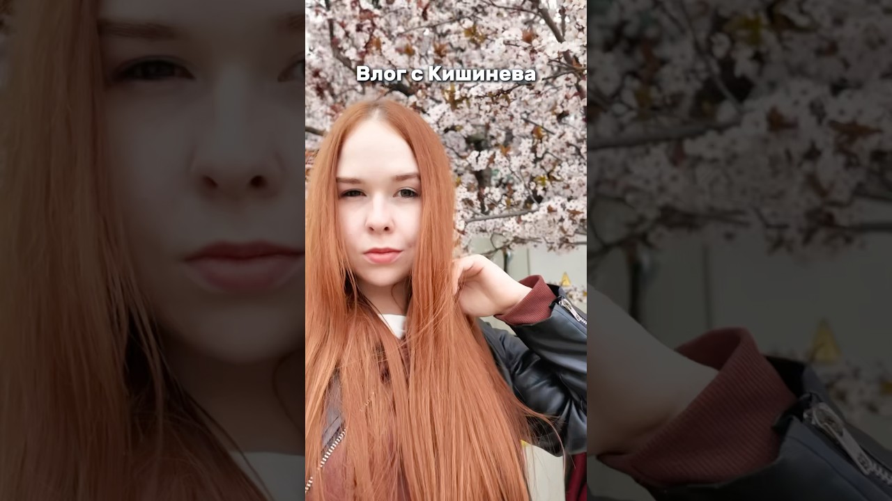#кишинев #молдова #влог #виза #шенген #посольство
