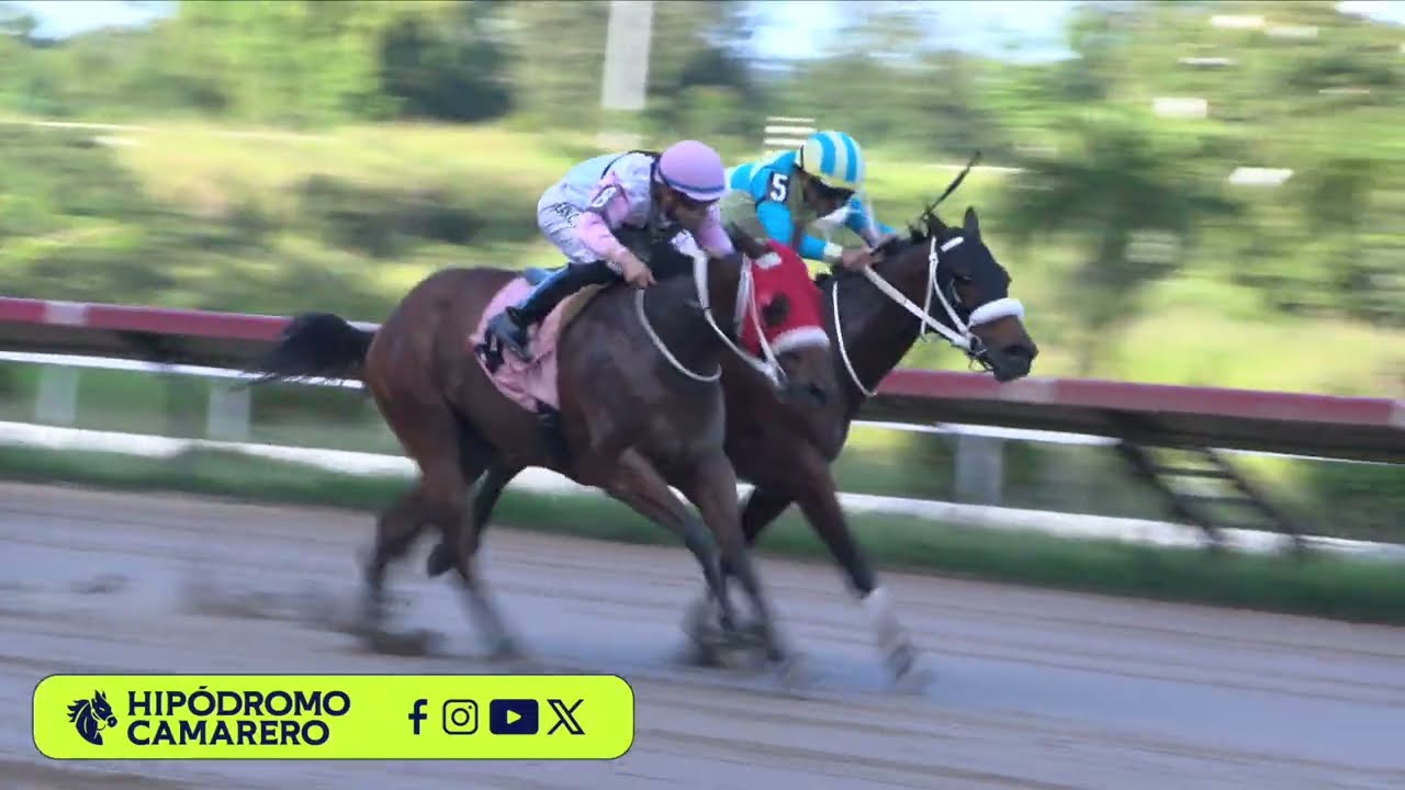 CARRERA 6 - 12/MARZO/2026 (ISMALIAN V.)