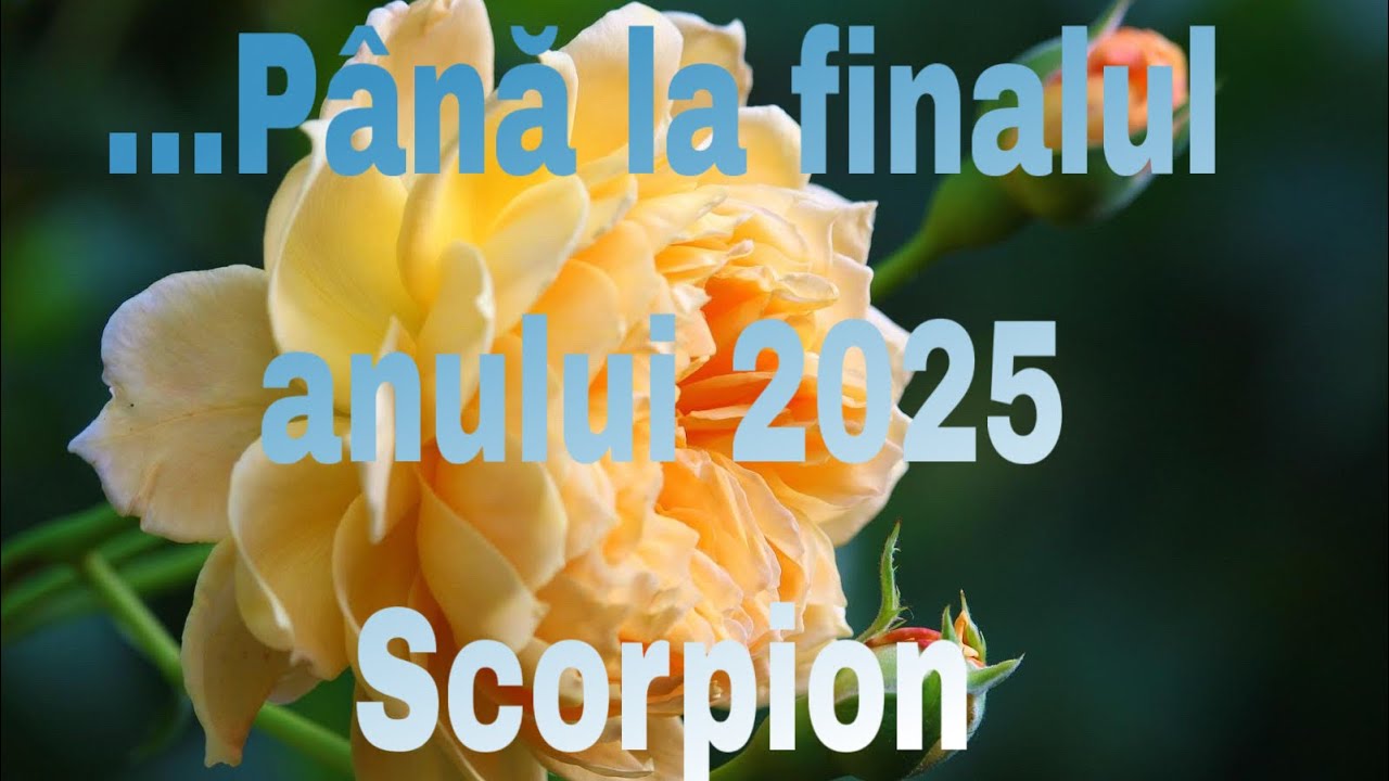 SCORPION♏️IMPUNE-TE….SUFLETUL E FERICIT DUPA CE IARTĂ …ASA ÎȚI ATINGI OBIECTIVUL ..♥️💯🙏🏻🙌💐🥰🪐