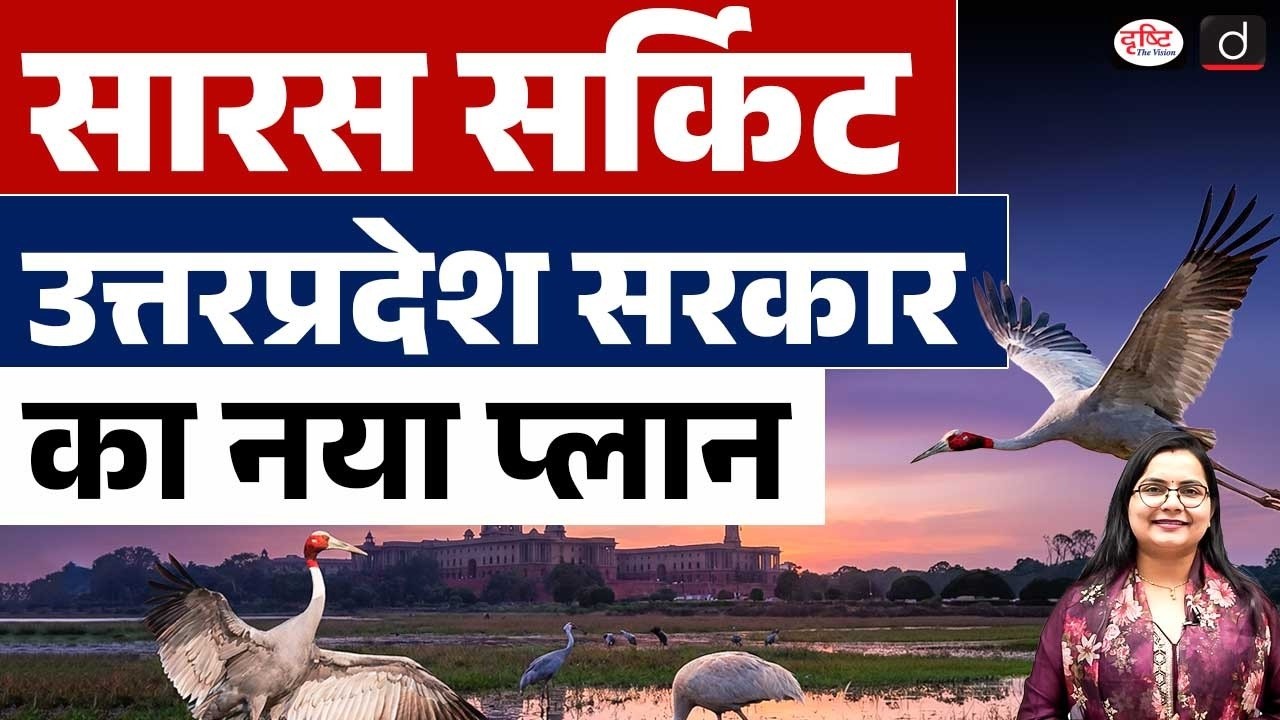 Sarus Circuit: Uttar Pradesh Government’s New Conservation Plan | Current News | Drishti IAS
