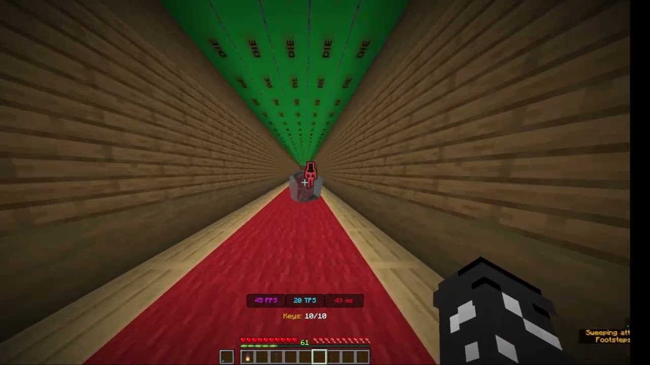 I made a new game in Minecraft (Hotel Hell)