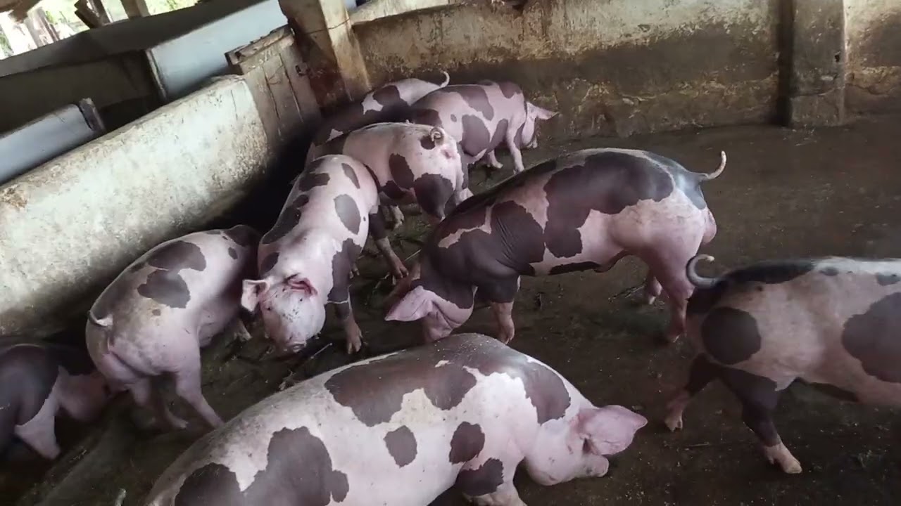 Faça as coisas com cuidado que sempre dá certo 
