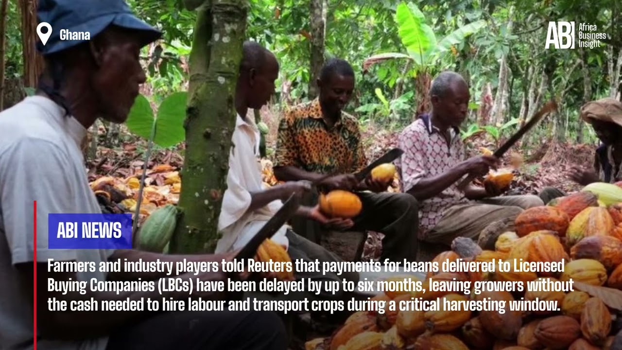 Ghana cocoa farmers warn bumper harvest at risk over payment delays
