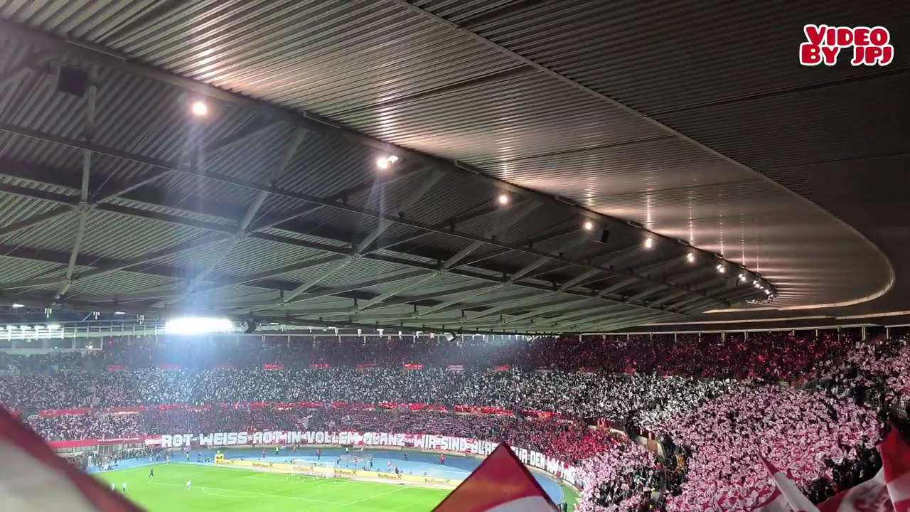 Österreich - Bosnien (1:1) / 18.11.25 / Support