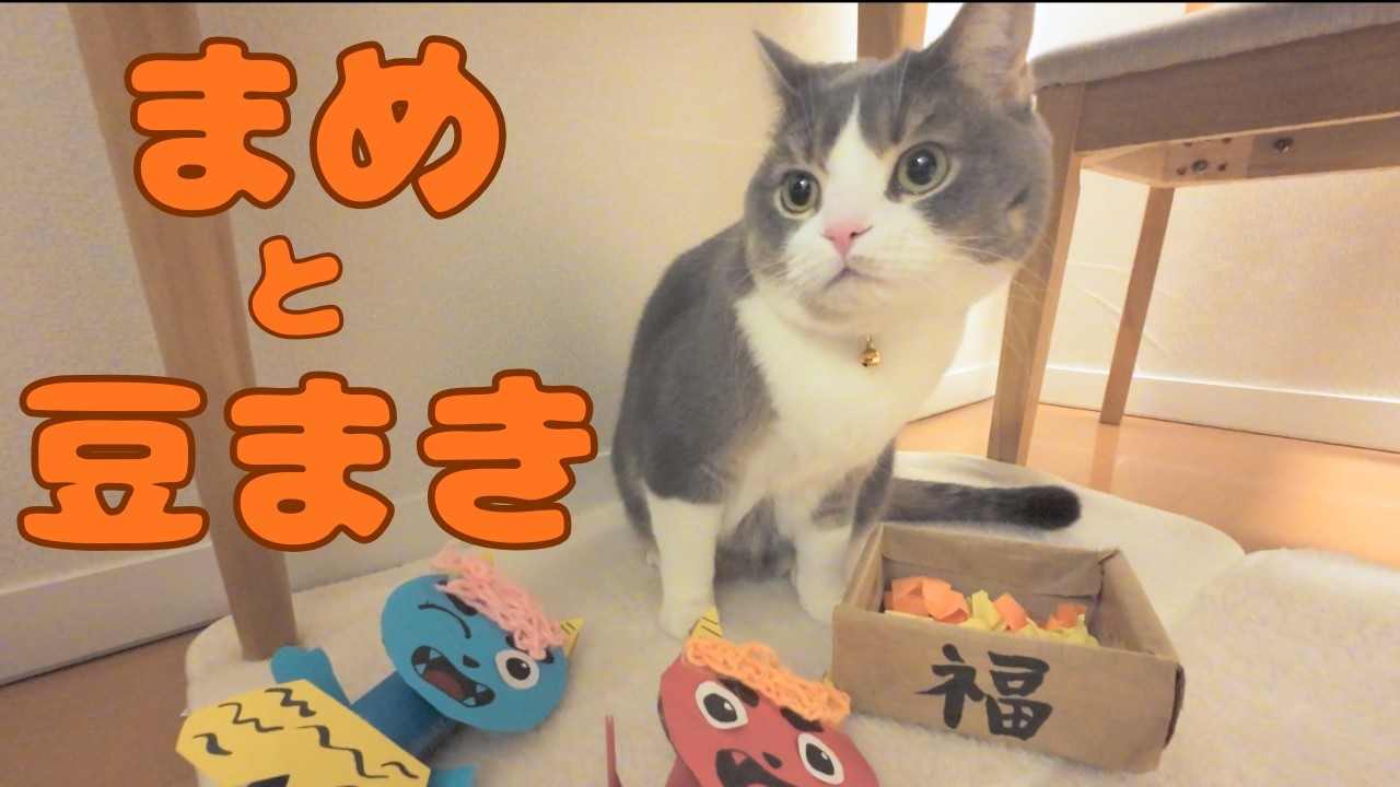 節分だ！猫の鬼退治！「こまめと豆まき」が楽しすぎた　13