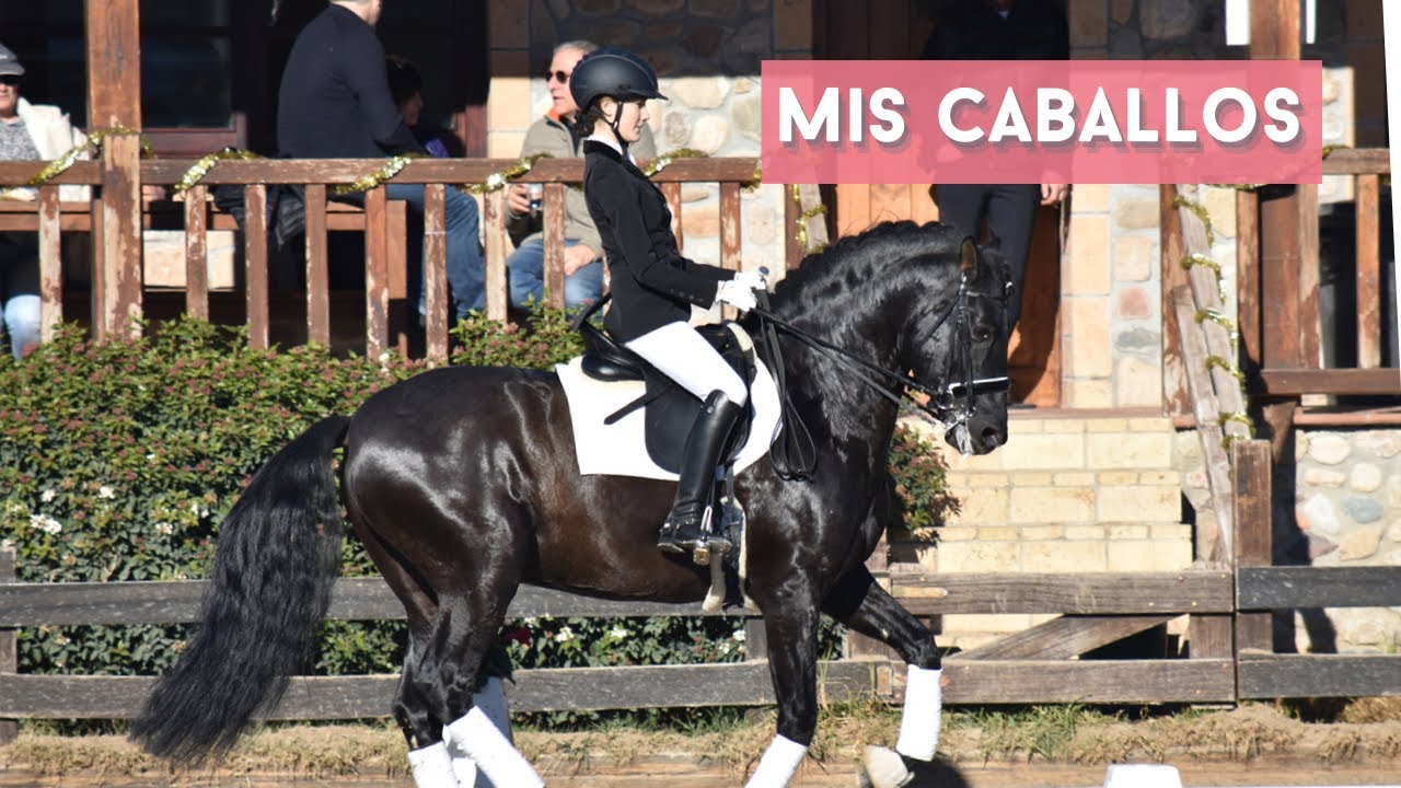 Todos mis caballos | Storytime