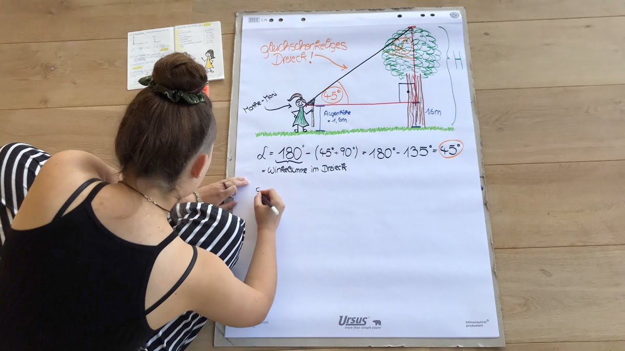 Die Höhe eines Baumes Teil 6: mit Zollstock und Geodreieck | mathematikerleben