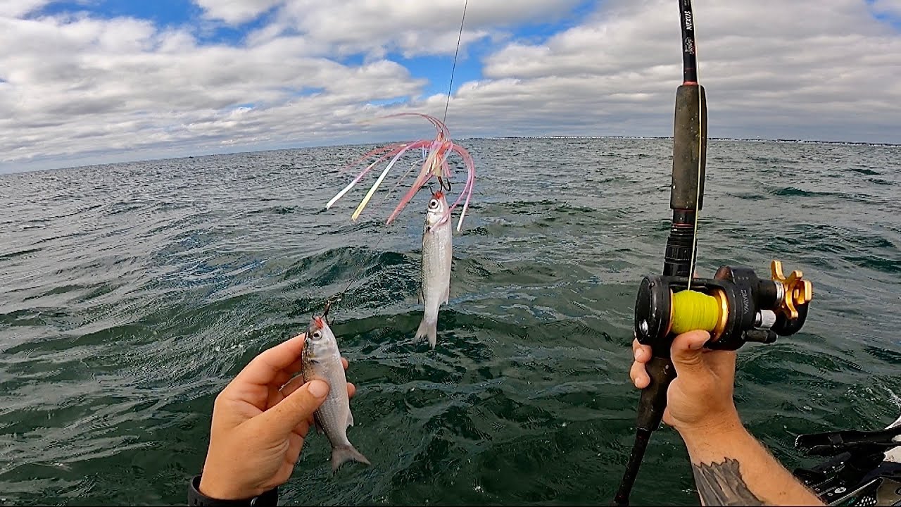 FOUR Hours Of Kayak Ocean Fishing | Surf Launches, Trolling, Jigging, & Chunking The Coast