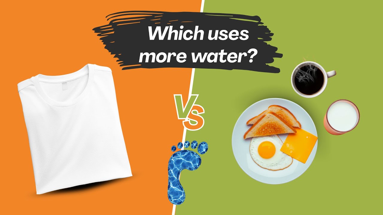 Water's Hidden Truth: What's Your Water Footprint?