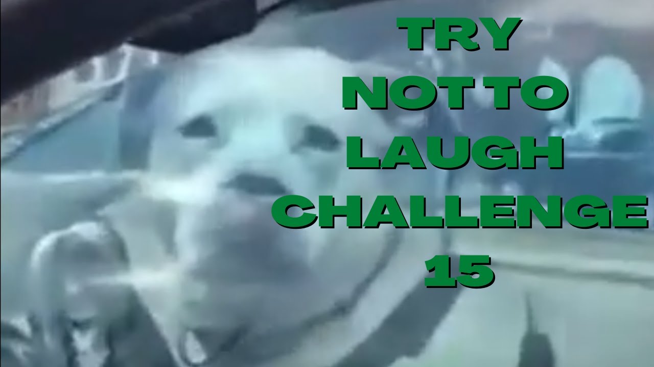 Try Not To Laugh Challenge 15 - By Jae Bean
