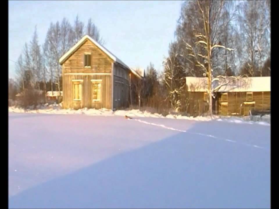 Kettukoira !