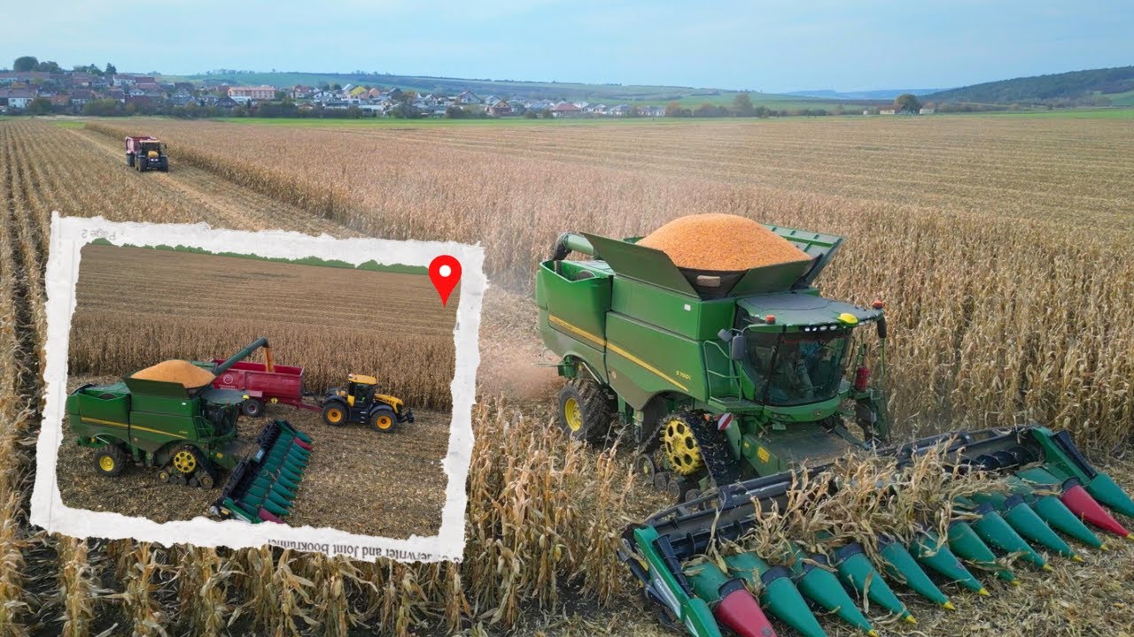Podzimní sklizeň kukuřice 🌽 Kukuřice mizí – a s ní i prasata!