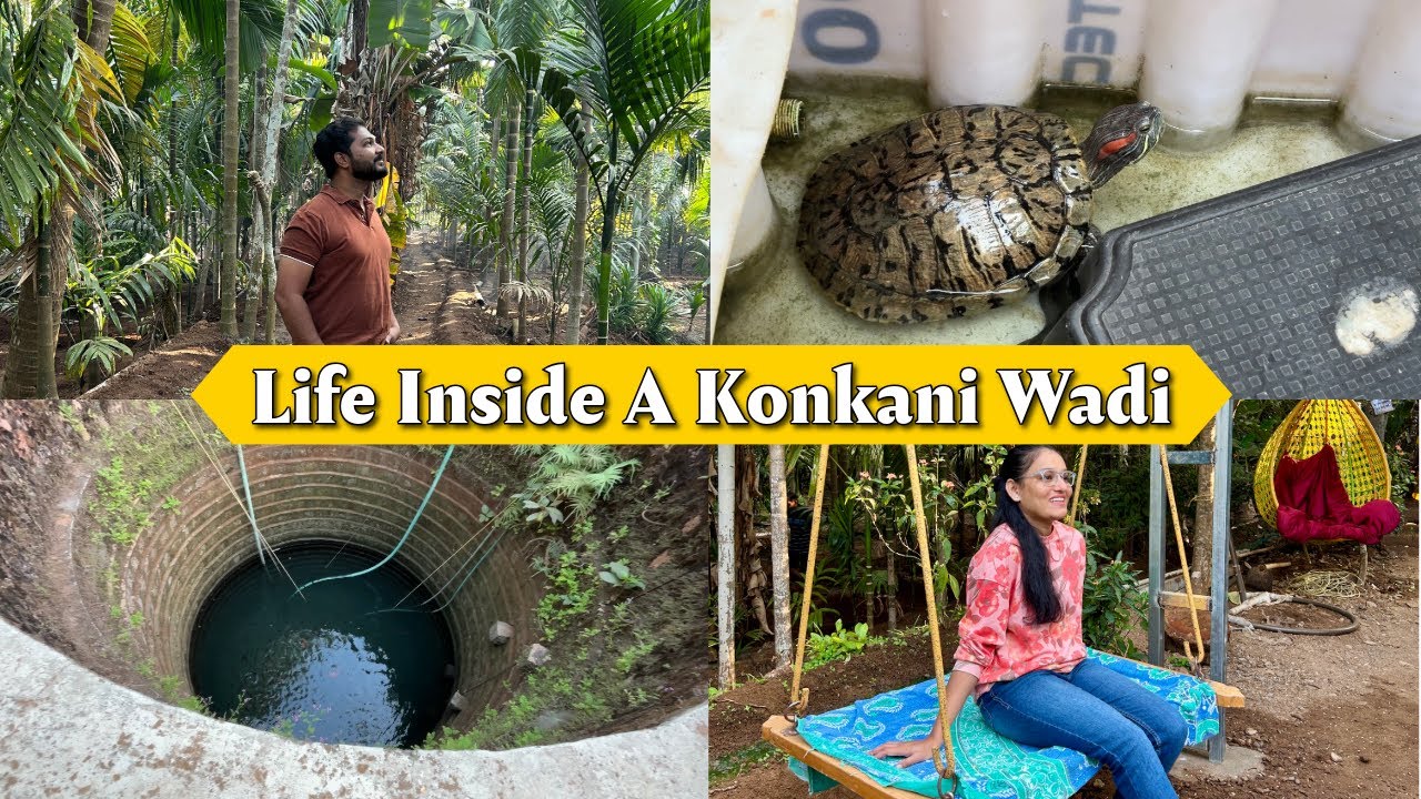 Inside a Typical Konkan Wadi | How Konkan Villages Really Look | This Is Real Konkan ❤️