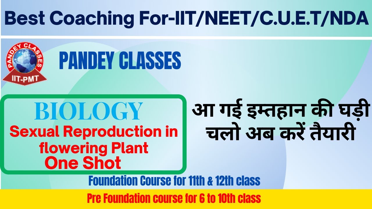 Sexual Reproduction in Flowering Plant One Shot By Alauddin Sir ||Pandey Classes Prayagraj