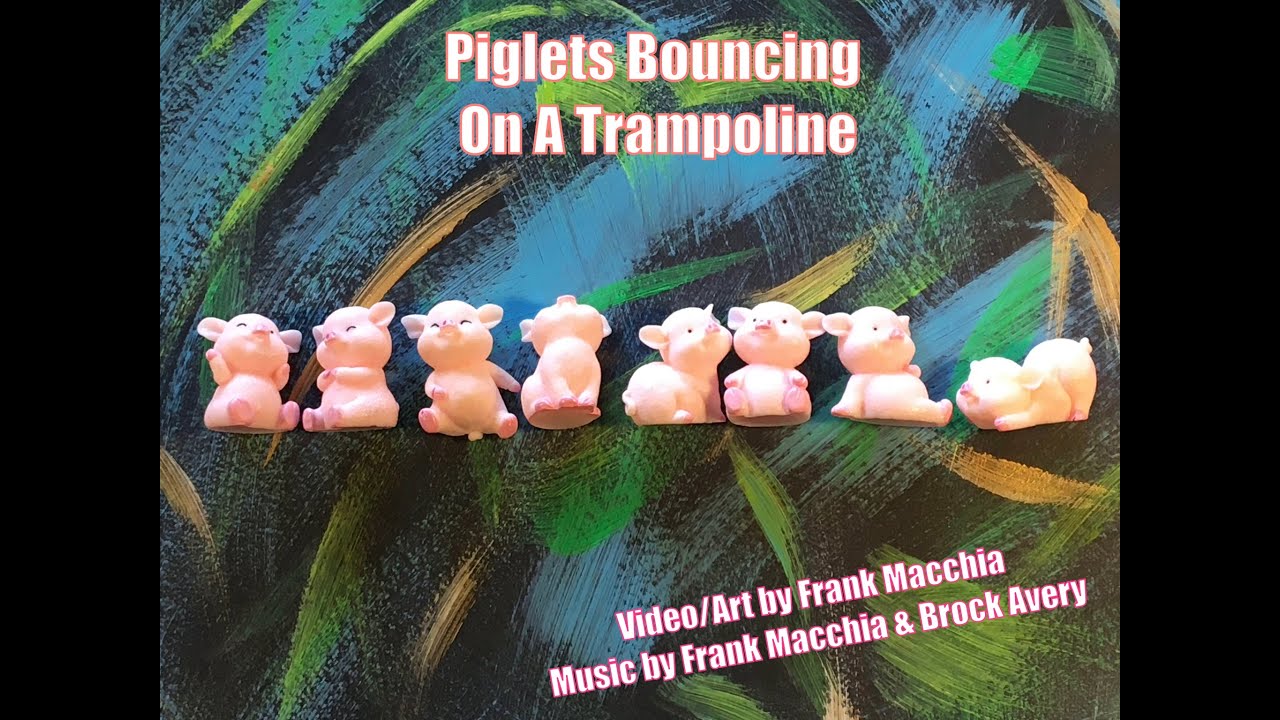 Piglets Bouncing On A Trampoline by Frank Macchia & Brock Avery