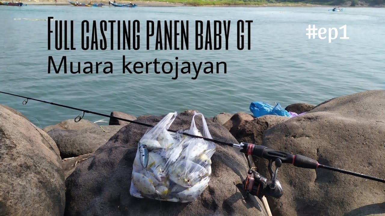 Full casting panen baby gt di Muara Kertojayan #ep1