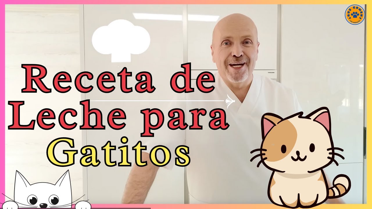 🐱 ¿COMO PREPARAR LECHE PARA GATOS BEBES (GATITOS RECIEN NACIDOS)? 🐱 RECETA 1