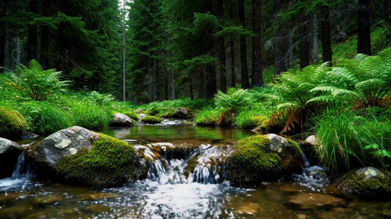 Fall Asleep Faster with Calming River Sounds | Natural Relaxation (No Music)