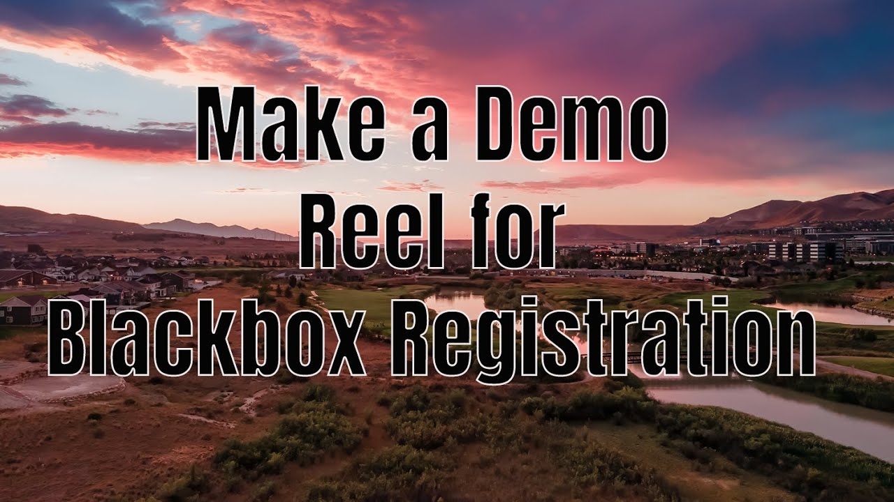 Make a Demo Reel for Blackbox Registration