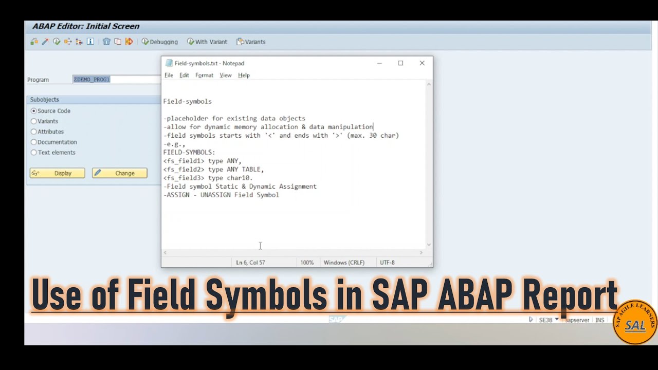 16.Use of Field Symbols in SAP ABAP Report | Dynamically Update of Internal Tables | Fast Execution