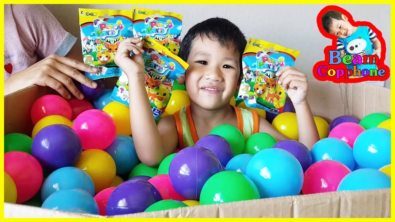 น้องบีม | หายตัวไปในบ่อบอลกล่องกระดาษกับ Pet Party