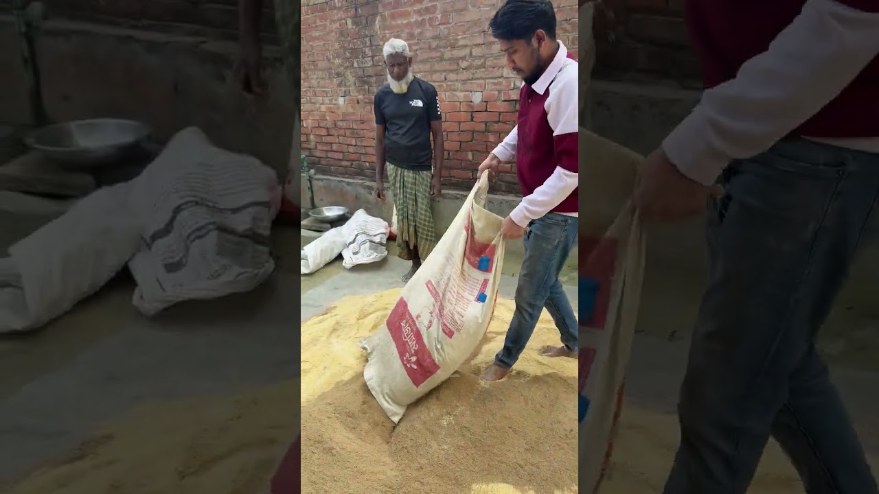 -ন্যাচারাল পদ্ধতিতে গরু মোটাতাজাকরণে যে যে দানাদার ব্যবহার করি..!!  #viralpost #animals #youtube 
