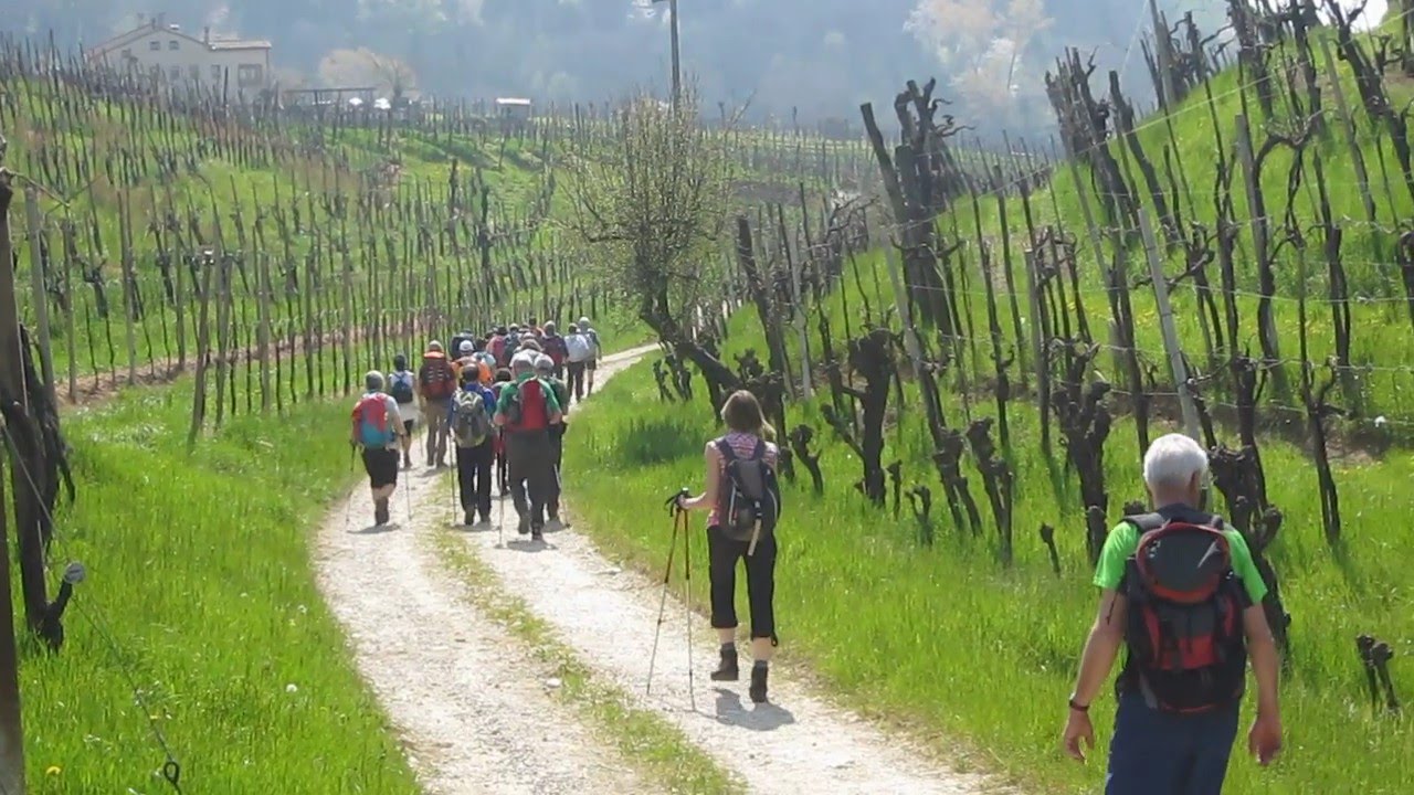 Valdobbiadene le colline del Cartizze