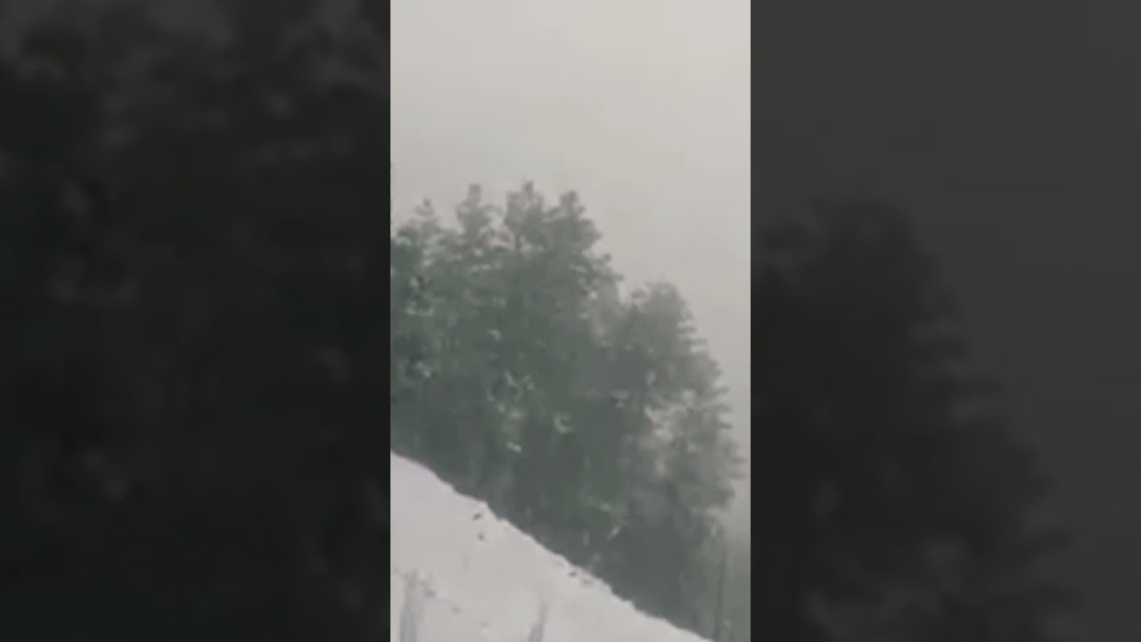 Murrey Neelam Valley #snowfall #freebitcoin #snowathegolden #snowbunny #snowwhite