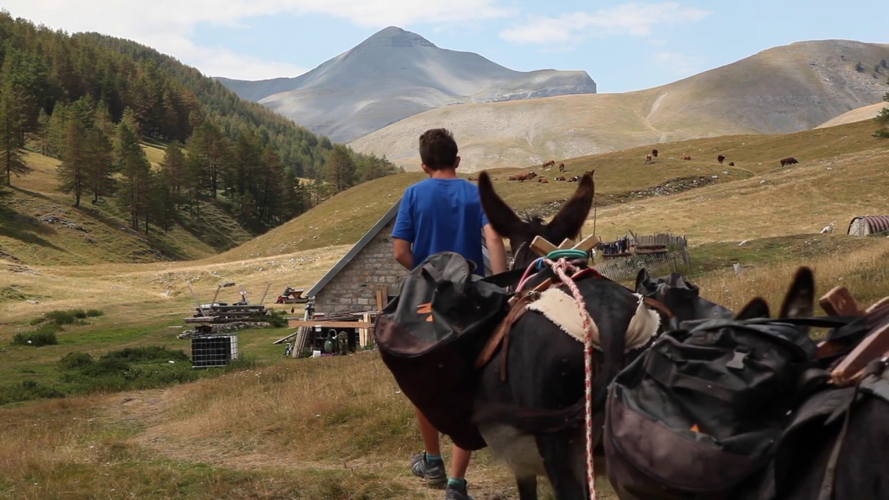 REFUGE LONGON SEPT 2019