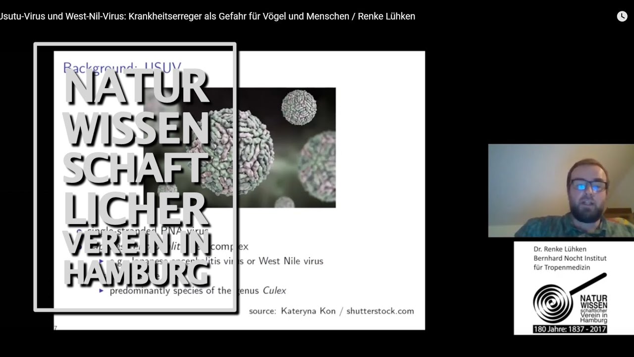 Usutu-Virus und West-Nil-Virus: Krankheitserreger als Gefahr für Vögel und Menschen / Renke Lühken