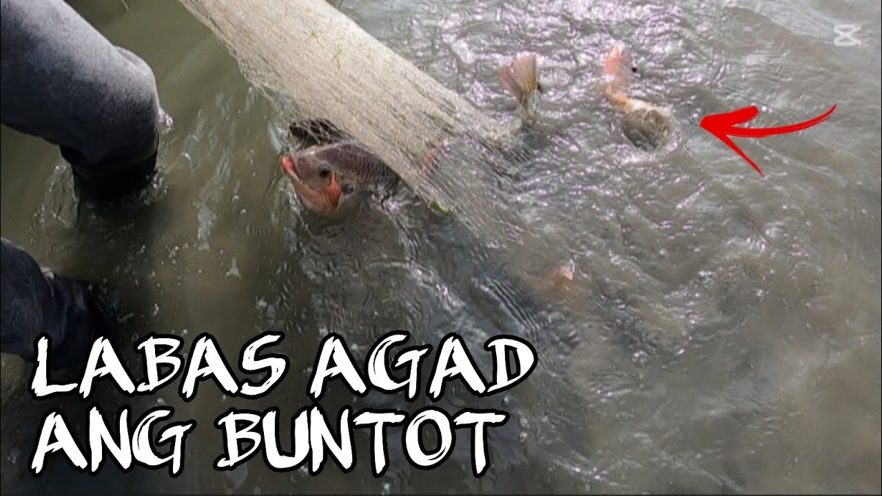 Andito lang Pala Sila nagtatago mga naglalakihan isda @BHONTV-31 #fishing 