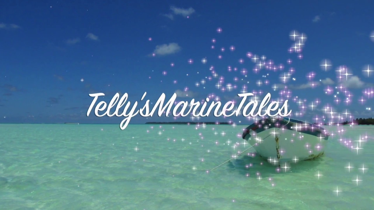 How science can get it wrong: cownose rays as scapegoats
