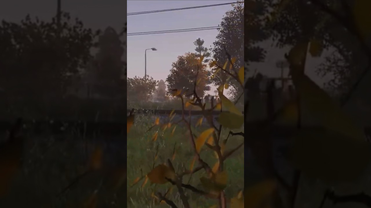 Cover Your Tracks in DayZ