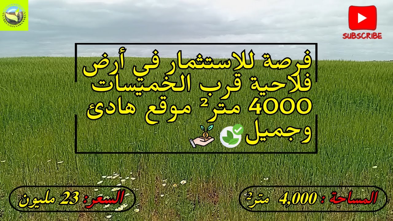 أرض فلاحية للبيع قرب الخميسات 4000 متر² في قبليين لعشاق الطبيعة والهدوء 🌿